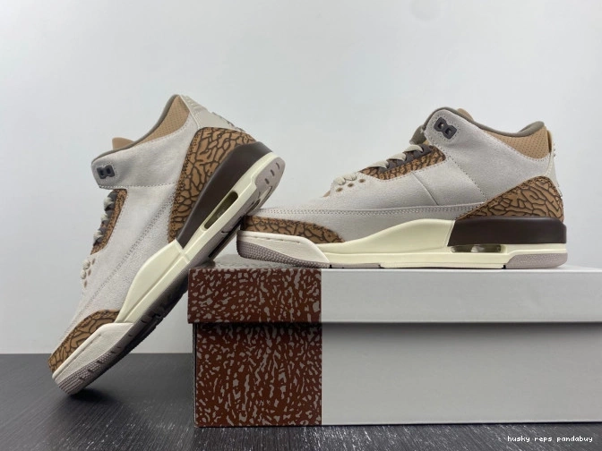 Rep Husky Jordan Palomino Air CT8532-102 3 0729